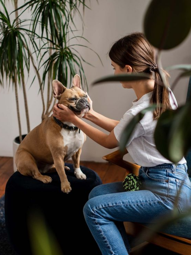 5 Nontoxic Houseplants That Are Safe For Pets